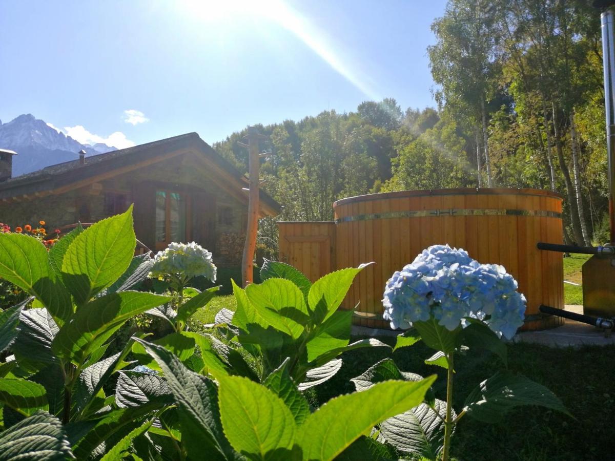 Chalet Cuore Selvatico Monno Dış mekan fotoğraf